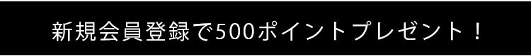 新規会員500ポイントプレゼント