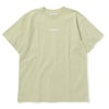 Slate Light Green