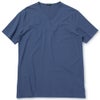 Blue Grey