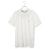 Gauze White