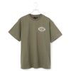 Lichen Green
