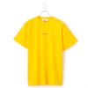 Daisy Yellow