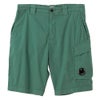 Bronze Green